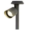 Lumineo Prikspot - Solar - Antraciet - 25 Cm -Winkel Voor Woonverlichting 1000046137