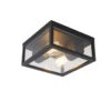 QAZQA IndustriÃ«le Plafondlamp Zwart IP44 2-lichts - Charlois -Winkel Voor Woonverlichting 1000046327