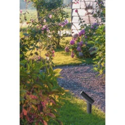 Lucide TATUM - Tuinspot Buiten - LED - 1x4,5W 3000K - IP65 - Antraciet -Winkel Voor Woonverlichting 1000046874 0103