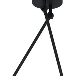 EGLO Takeley Plafondlamp - E27 - 198 cm - Zwart -Winkel Voor Woonverlichting 1000065358 0102