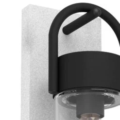 EGLO Carraro Wandlamp Buiten - E27 - 38 cm - Grijs/Zwart -Winkel Voor Woonverlichting 1000070097 0102