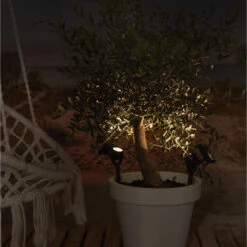 Luxform Solar Tuinlamp - 1x - Zwart - LED Softtone Effect -Winkel Voor Woonverlichting 3a1d3ea7afbf449ca9f6382ef8e2d452